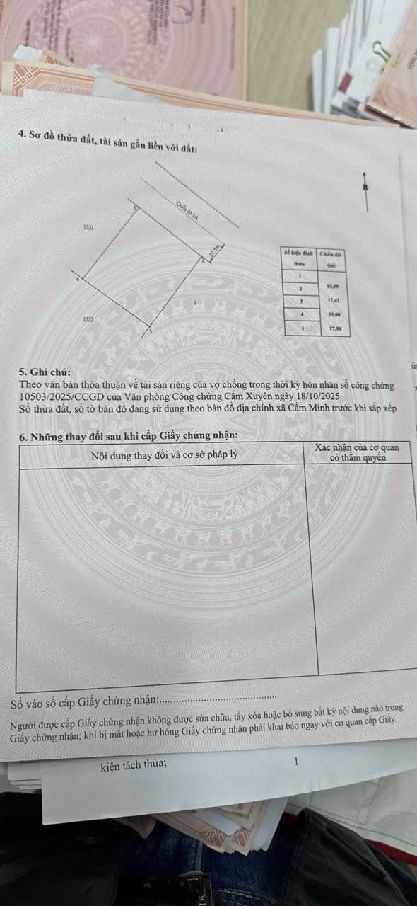 Đất Quốc Lộ 1A Cẩm Lạc 270m² giá 2 tỷ - Cơ hội đầu tư tuyệt vời!