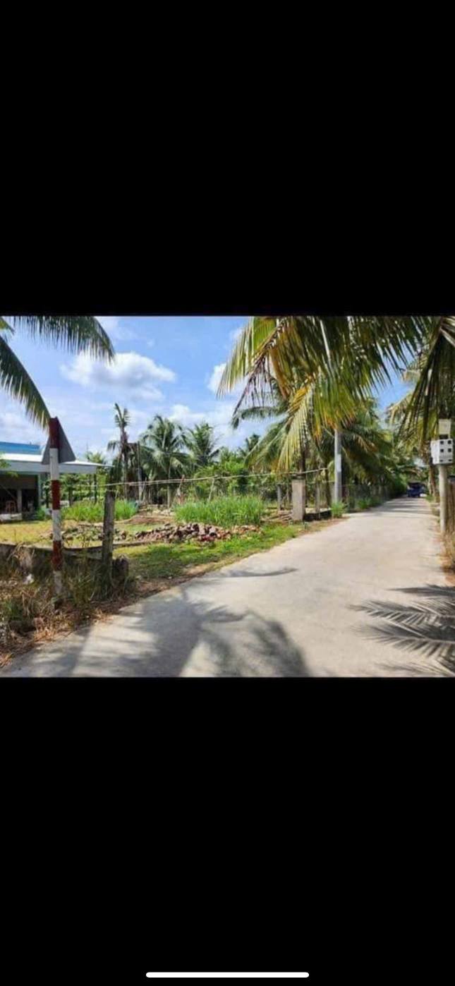 Đất nền Phú Nhuận Bến Tre 115m² giá 850 triệu - Mặt tiền lộ bờ dừa, thuận tiện kinh doanh!