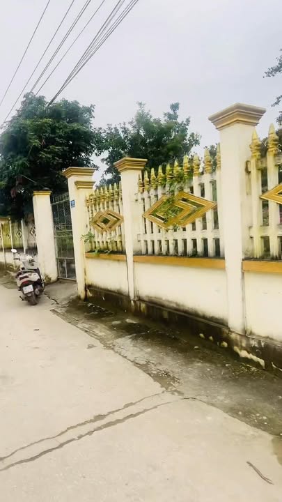 Đất nền xã Triệu Sơn 125m² giá chỉ 700 triệu - Đầu tư sinh lời cao!