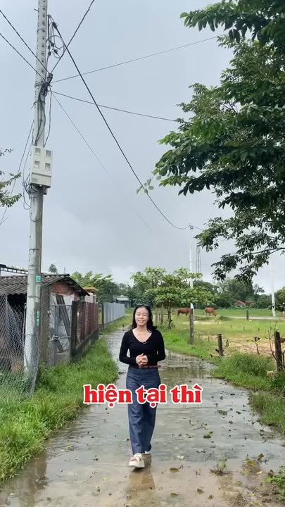 Đất nền Tam An, Núi Thành 221m² - Giá thỏa thuận, vị trí tiềm năng!