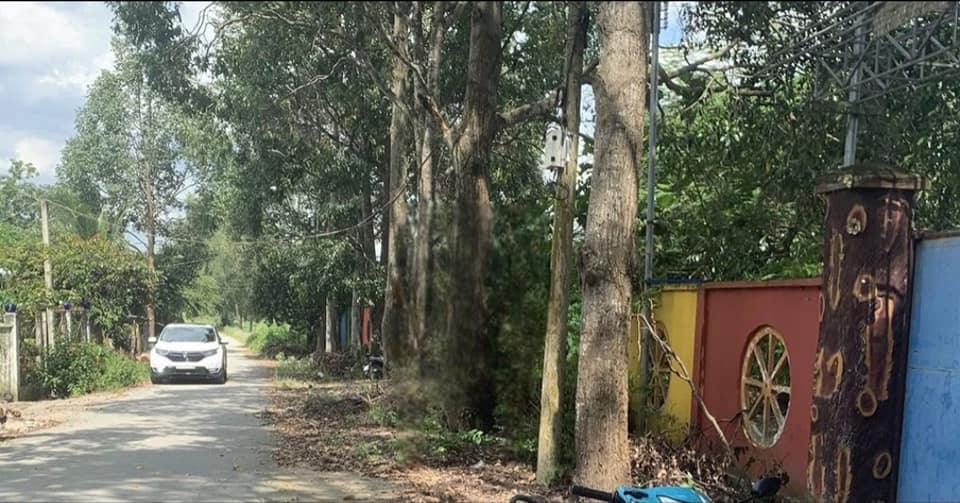 Đất nền 2.1ha An Phú Củ Chi giá 39.9 tỷ - Mặt tiền đường nhựa thuận tiện!