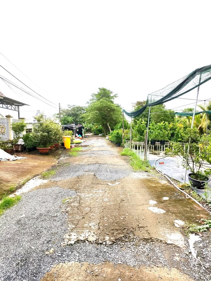 Đất mặt tiền Rạch Hai Đường, 1593m² giá 4 tỷ - Tiềm năng phát triển lớn!