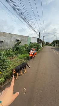 Đất nền Hưng Lộc, Thống Nhất 2300m² - Vị trí thuận lợi, giá thỏa thuận!