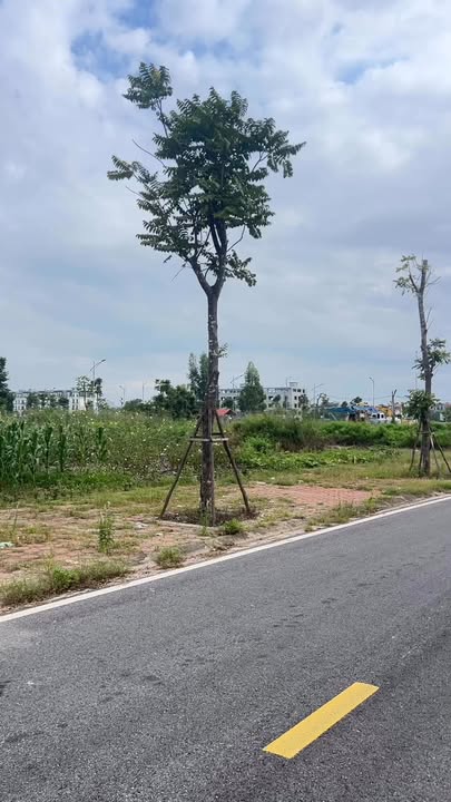 Nhà phố Tân Tiến Bắc Giang 93m² giá 7 tỷ - Hướng Đông, view cây xanh