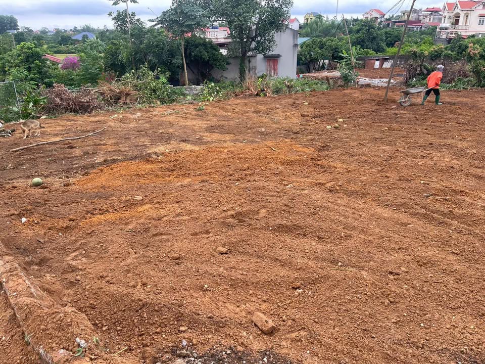 Đất nền kinh doanh tại phường Tân Tiến, Bắc Ninh 100m² - Giá thỏa thuận hấp dẫn!