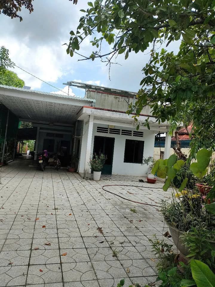 Đất mặt tiền chợ Dĩ An 700m² giá chỉ 1 tỷ - Kinh doanh siêu lợi nhuận!