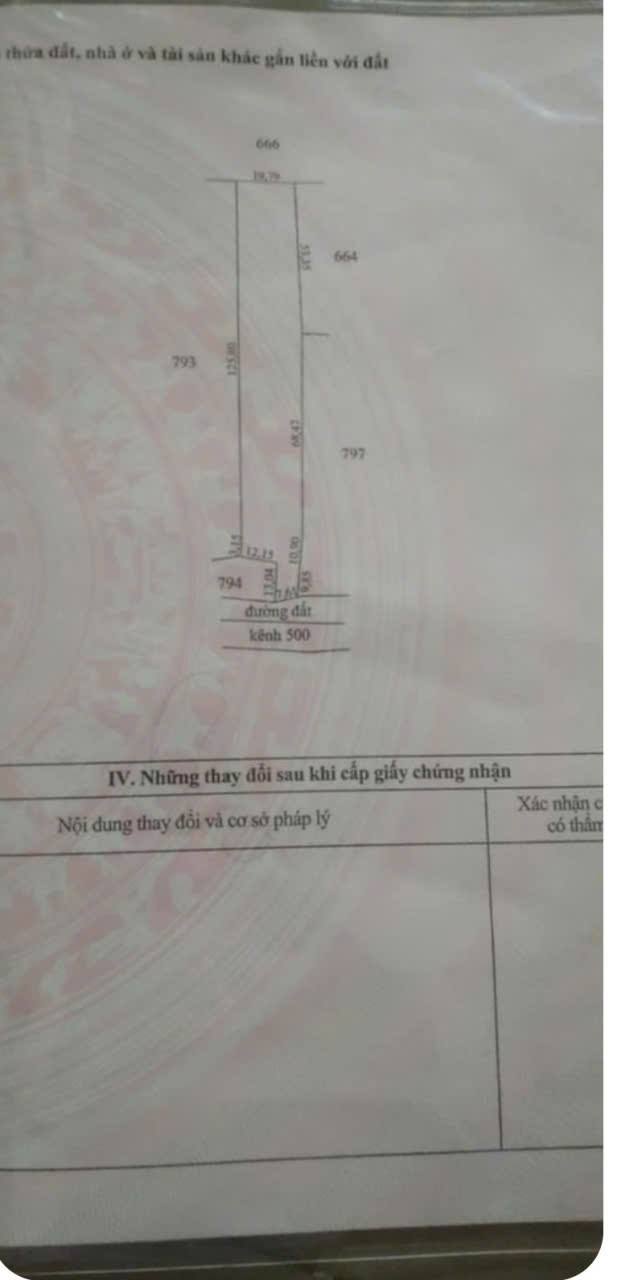 Đất ruộng 2800m² xã Thạnh Lộc, Cai Lậy giá 806 triệu - Mặt tiền đường xe máy đến đất!