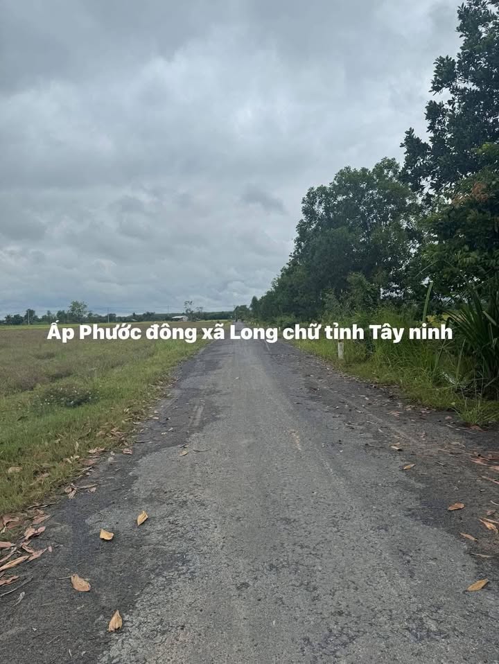 Đất thổ cư 200m² tại ấp Phước Đông, Tây Ninh giá chỉ 219 triệu - Sổ hồng chính chủ!