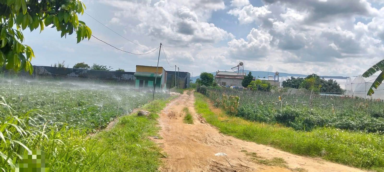 Đất nông nghiệp Lạc Xuân 2000m² giá 2.2 tỷ - Sổ hồng chính chủ, đầu tư sinh lời!