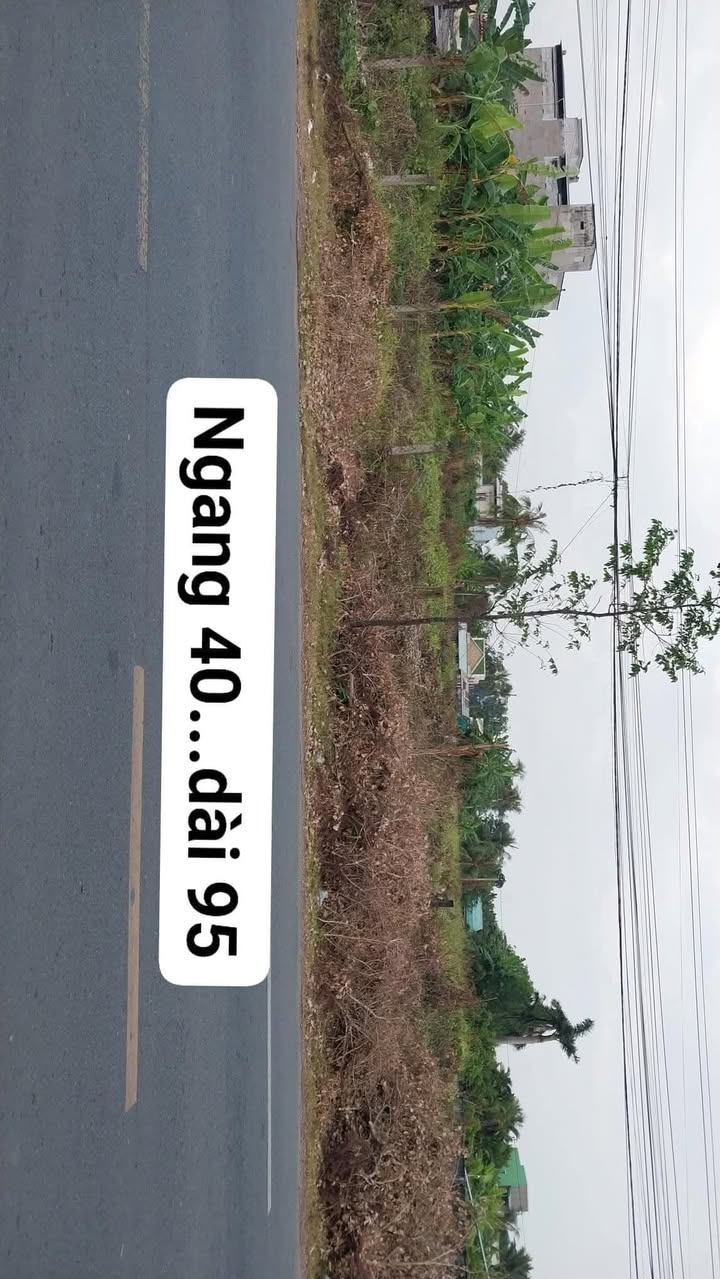 Đất nền kinh doanh Hồ Biểu Chánh Gò Công 3800m² giá 26.6 tỷ - Cơ hội đầu tư tuyệt vời!