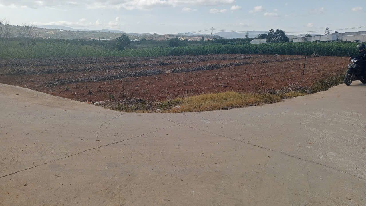 Đất Lâm Hà 1640m² giá 3 tỷ - Đất 2 mặt tiền ngay vị trí đắc địa!