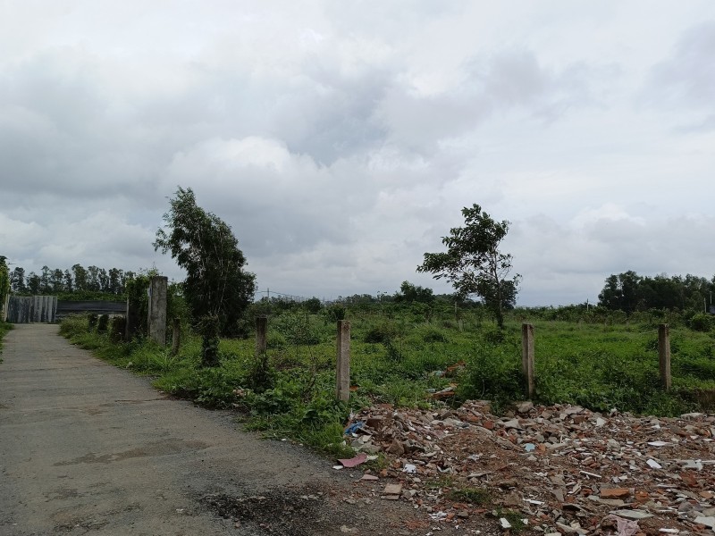 Đất nền Bình Chánh 1032m² giá 5.5 tỷ - Đầu tư sinh lời ngay!