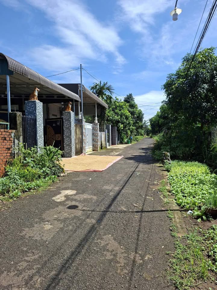 Đất Ea Kao Buôn Ma Thuột 60m² giá 1.19 tỷ - Gần chợ, Bách Hóa Xanh!