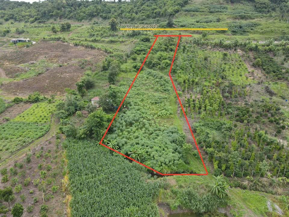 Đất nền 4 sào 5 tại Long Sơn, Đắk Mil - Giá chỉ 450 triệu, sổ đỏ chính chủ!