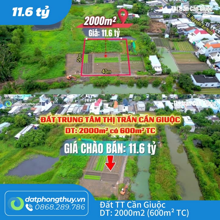 Đất nhà vườn Cần Giuộc 2000m² giá 16.6 tỷ - Tiềm năng sinh lời cao!
