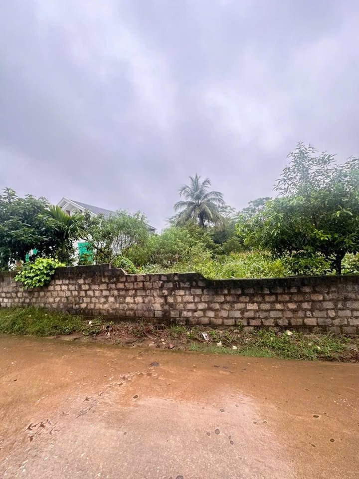 Đất nền Quỳnh Lưu Ninh Bình 300m² giá 1 tỷ - Đầu tư sinh lời tuyệt vời!