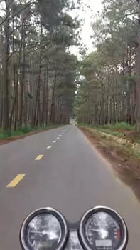 Đất nền xã Tân Hà, Lâm Hà 12000m² giá 1.9 tỷ - Cơ hội đầu tư không thể bỏ qua!