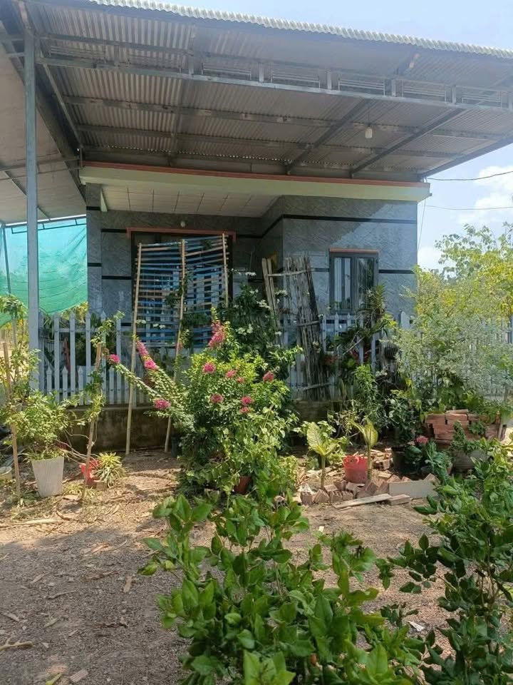 Đất nền Vĩnh An 516m² giá 750 triệu - Sổ đỏ chính chủ, mặt tiền đường