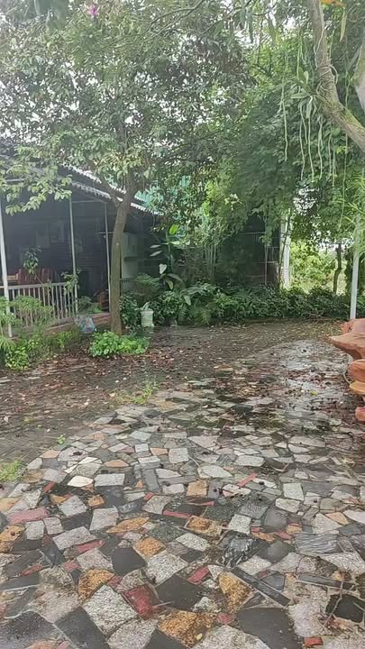 Farm 5 sào tại Đồng Tâm, Ninh Giang - Khu nghỉ dưỡng Homestay cực đẹp!