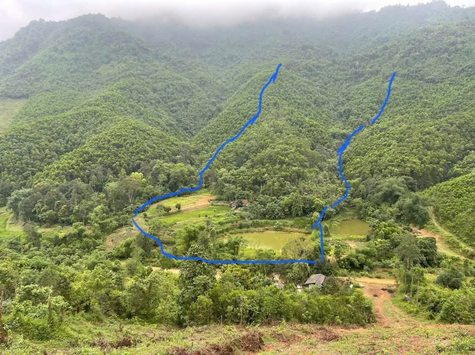 Đất rừng sản xuất 18ha Tân Minh, Thanh Sơn, Phú Thọ - Giá 4.68 tỷ, Sổ đỏ chính chủ!