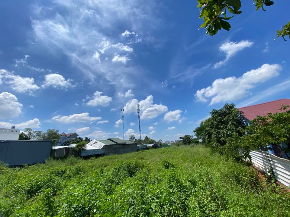 Đất thổ cư Đào Sư Tích Nhà Bè 2392m² giá 35 tỷ - Đầu tư sinh lời lý tưởng!