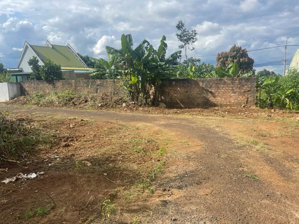 Đất nền Hẻm 42 Trần Văn Ơn, Pleiku 138m² - Đường nhựa rộng thông thoáng!