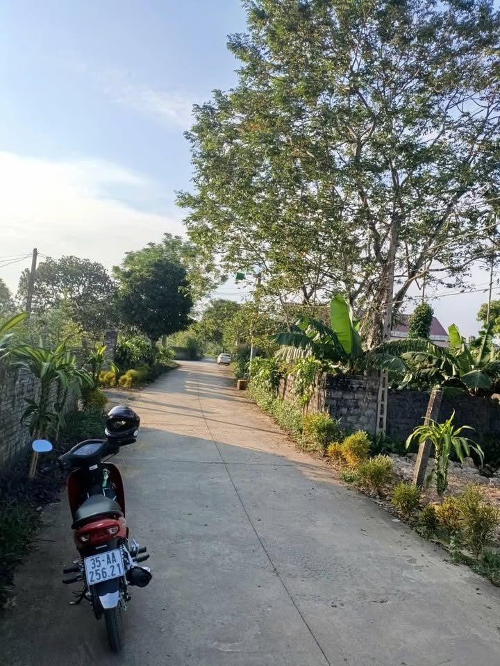 Đất nền Yên Sơn, Tam Điệp 145m² giá 700 triệu - Đối diện trường học!