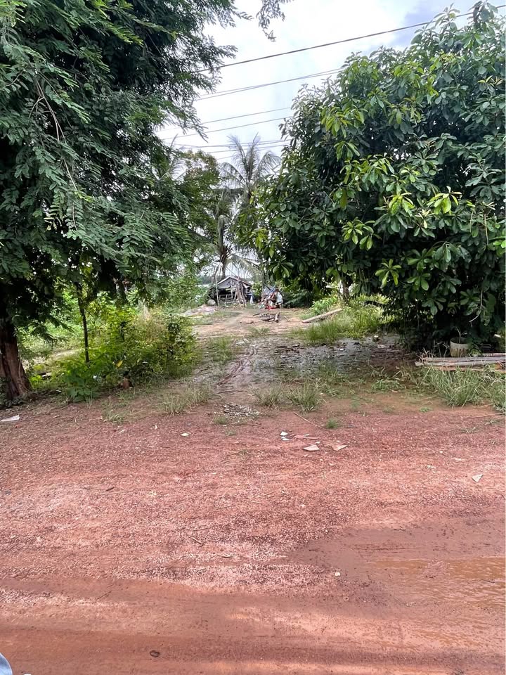 Đất thổ cư 190m² tại Phước Lộc - Tây Ninh giá chỉ 140 triệu - Cơ hội vàng cho đầu tư!