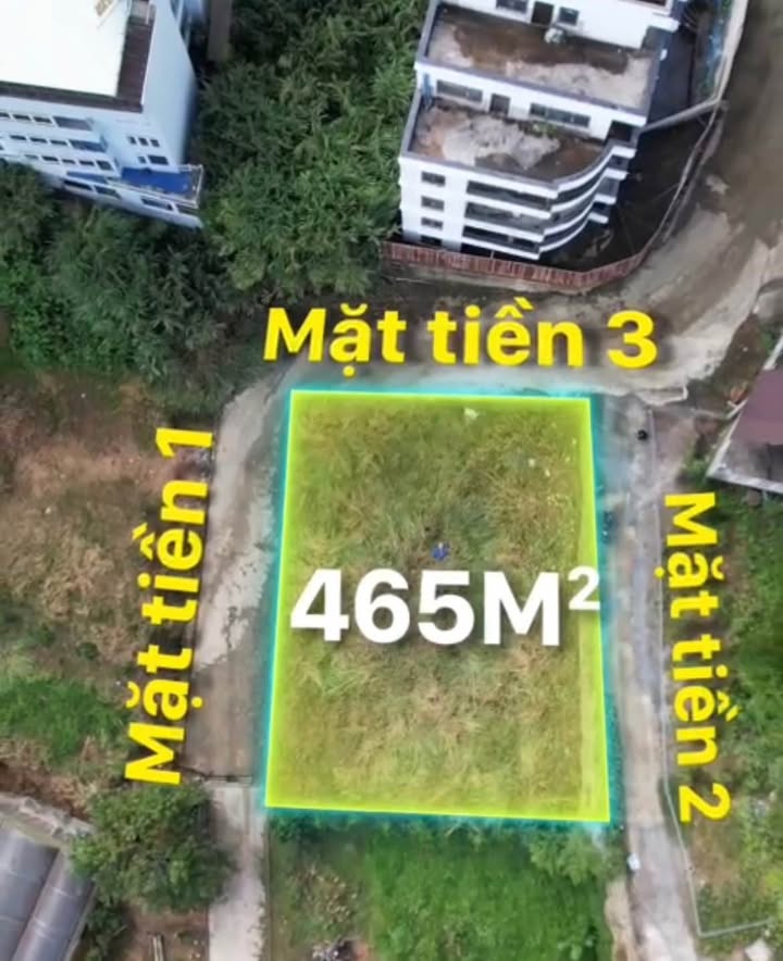 Đất 3 mặt tiền đường Nam Hồ P11 Đà Lạt 465m² giá 9.5 tỷ - View rừng thông tuyệt đẹp!