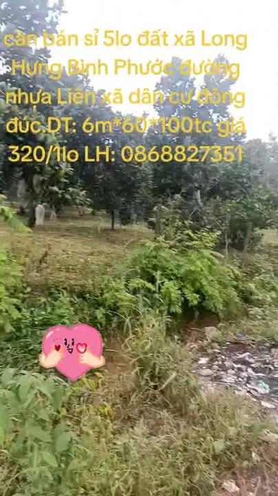 Đất nền 360m² tại xã Long Hưng, Phú Riềng - Giá chỉ 320 triệu, đầu tư sinh lời!