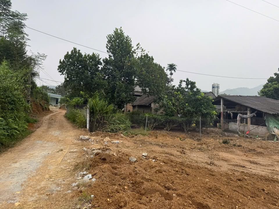 Đất nền Thanh Sơn 639,6m² giá 800 triệu - Cơ hội đầu tư lý tưởng!