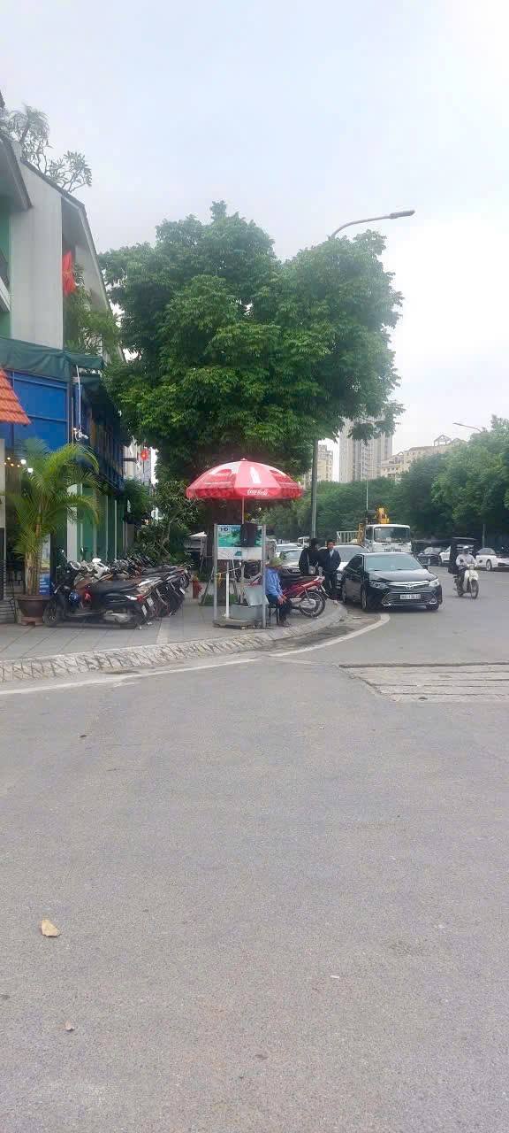 Nhà mặt phố Mạc Thái Tổ 160m² giá 55 tỷ - Kinh doanh đỉnh cao!