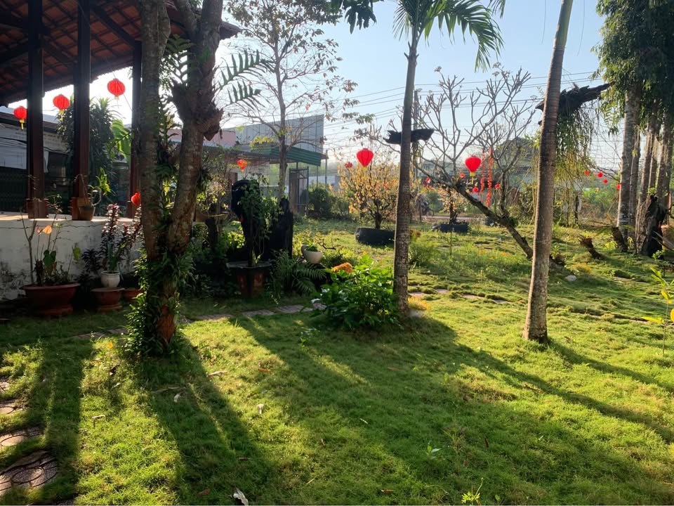 Đất mặt tiền Tỉnh lộ 713 Đức Linh 35m - Giá thuê chỉ 1 triệu/tháng!