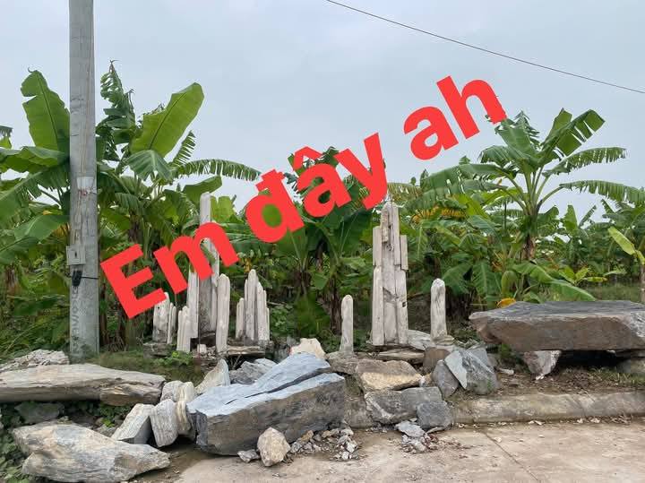 Đất nền Hùng Thắng 135m² giá 2 tỷ - Cơ hội đầu tư hấp dẫn!