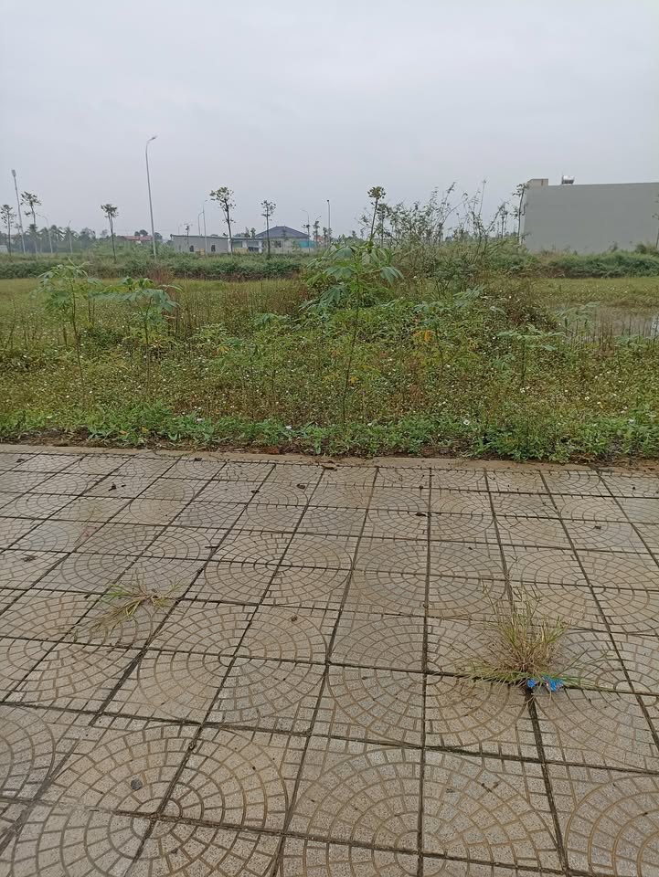 Mặt bằng cho thuê Thọ Xuân 100m² giá 8 triệu - Hướng Đông thoáng mát!