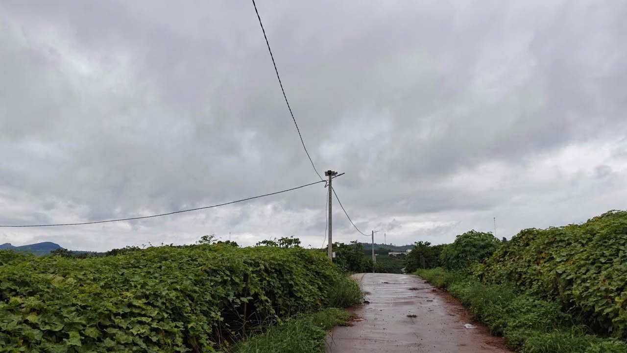 Đất thổ cư Nam Ban 936m² giá chỉ 3.5 tỷ - Vị trí đắc địa trung tâm!