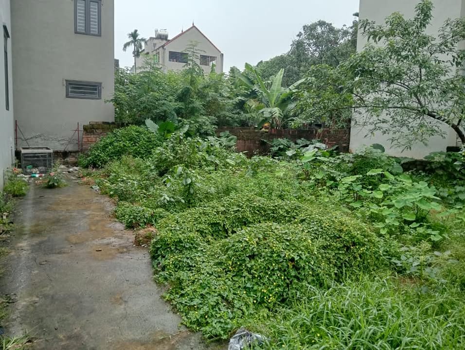 Đất nền Phụng Châu, Ba Vì 46.4m² chỉ 2.2 tỷ - Đầu tư xây nhà thương mại ngay!