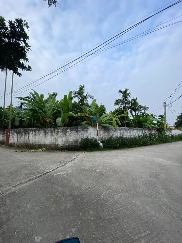 Đất thổ cư 612m² tại Thôn 8, xã Suối Hai, Ba Vì - 2 mặt tiền thoáng đãng, giá thỏa thuận!