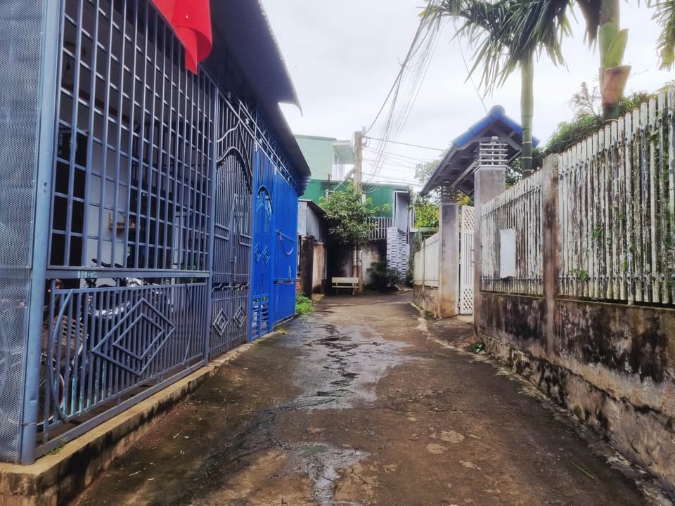 Đất nền Tân Hòa 50m² giá 1.39 tỷ - Cơ hội đầu tư tuyệt vời!