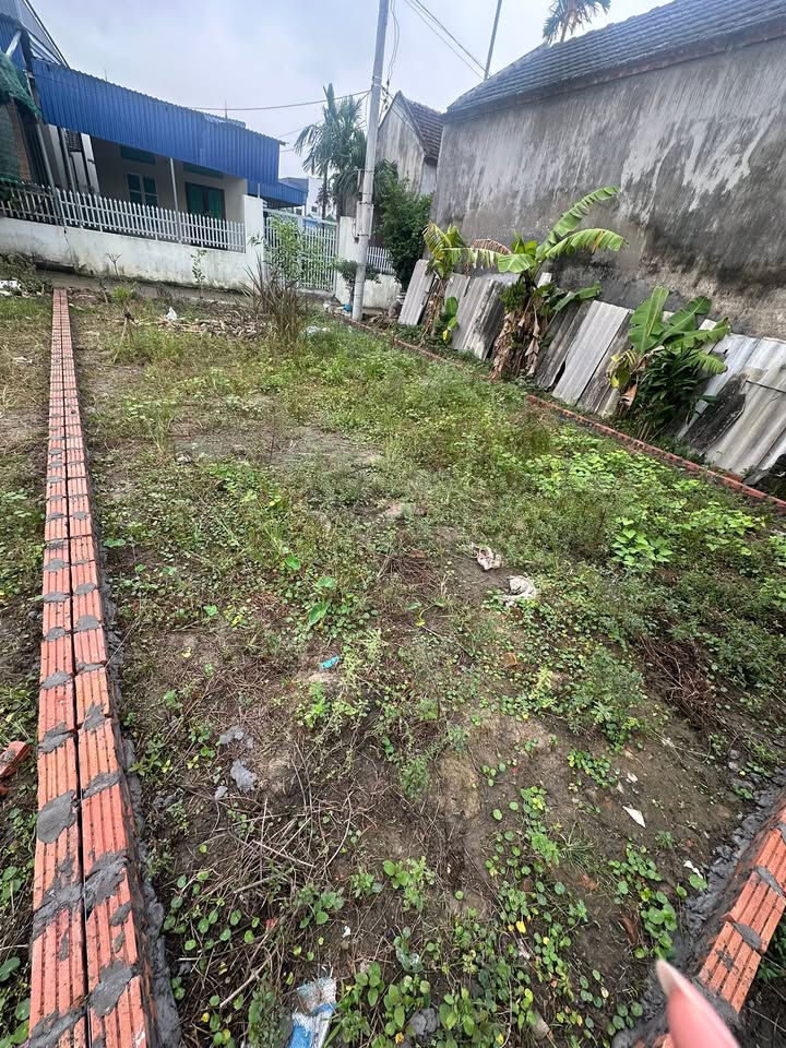 Đất nền chính chủ Kiến Thụy 67m² - Ngõ ô tô vào tận nơi, giá thỏa thuận!