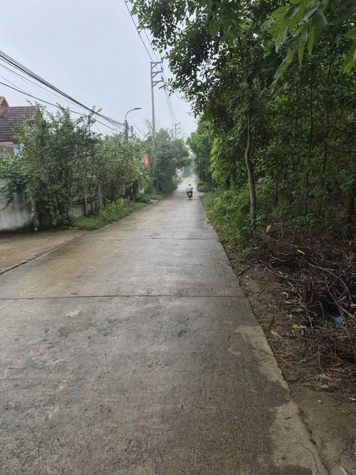 Lô đất Ba Trại, Ba Vì 1430m² giá 6 tỷ - Tiềm năng phát triển mạnh!