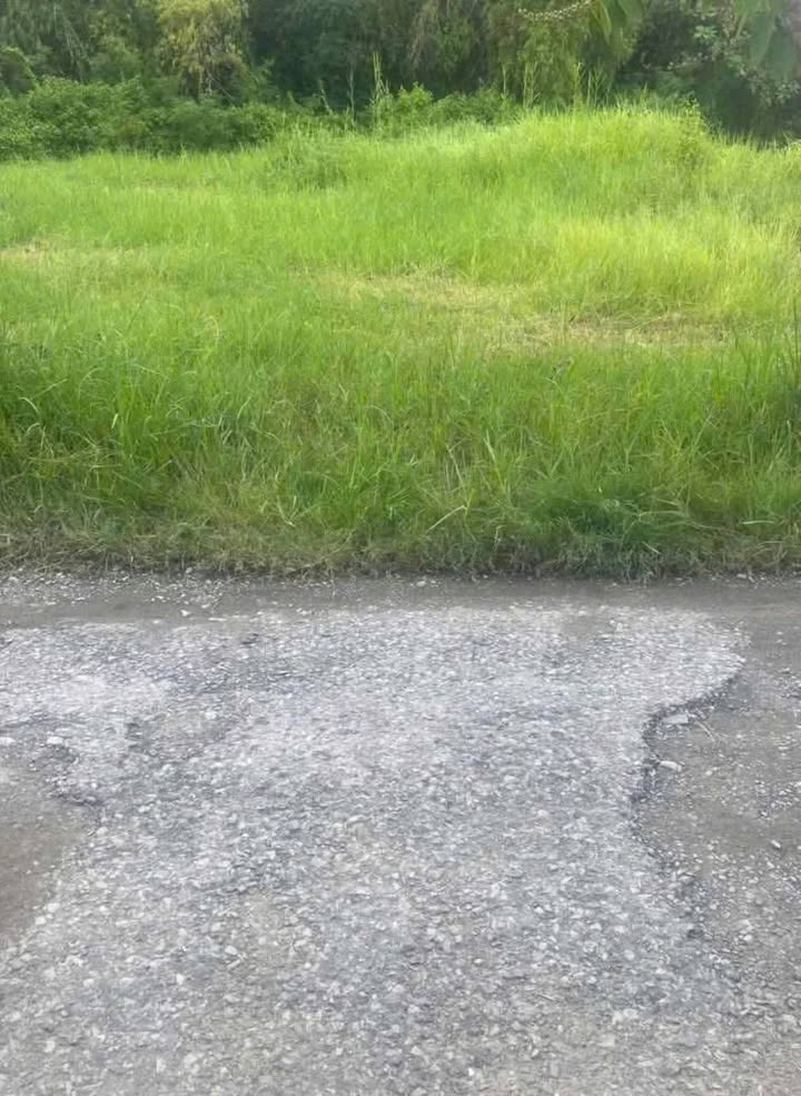 Đất nền Bình Thới, Bình Đại 510m² giá 663 triệu - Sổ đỏ chính chủ, giao dịch nhanh gọn!