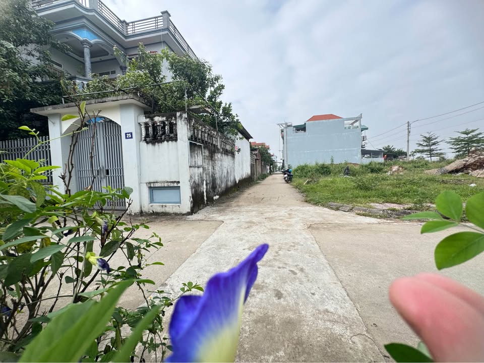 Đất nền Vân Đình, 118m² giá 3 tỷ - Vị trí đắc địa, đầu tư sinh lời