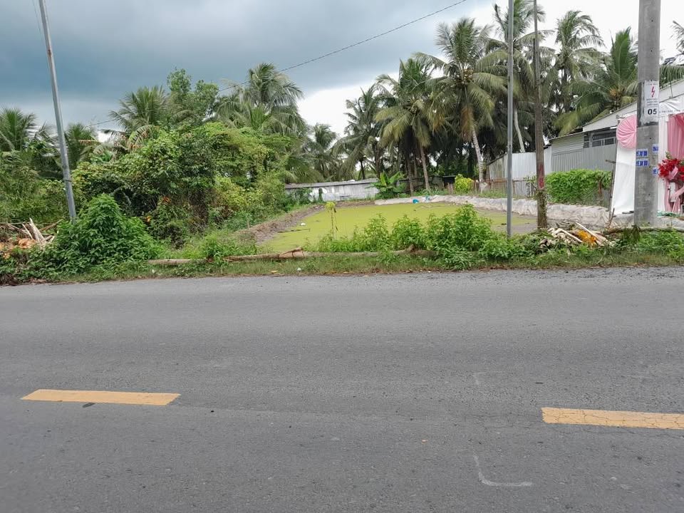 Đất nền 384m² mặt tiền tỉnh lộ 913, giá 1.3 tỷ - Cơ hội đầu tư hấp dẫn!