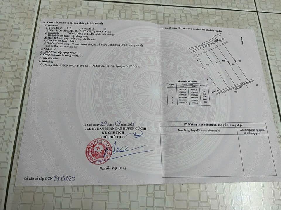 Đất nền quận 12 đường 174, 1000m² - Giá thỏa thuận hấp dẫn!