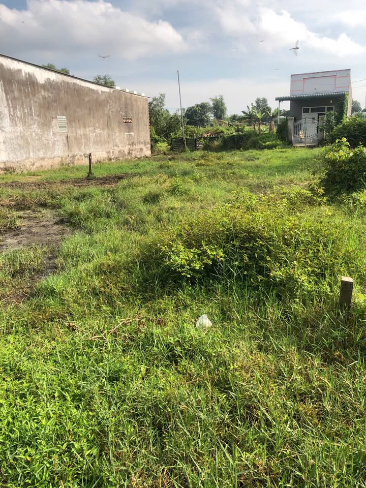 Đất nền Tân Bình, La Gi 505m² giá 1.2 tỷ - Đường Nguyễn Trãi thoáng mát!