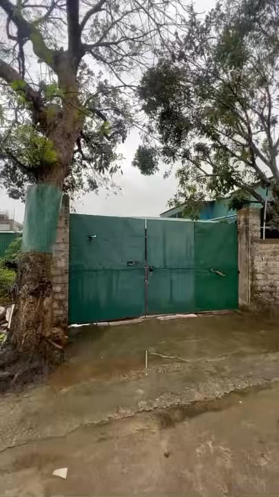 Đất ở Nghi Vấn 458m² chỉ 1 tỷ - Đầu tư sinh lời ngay!