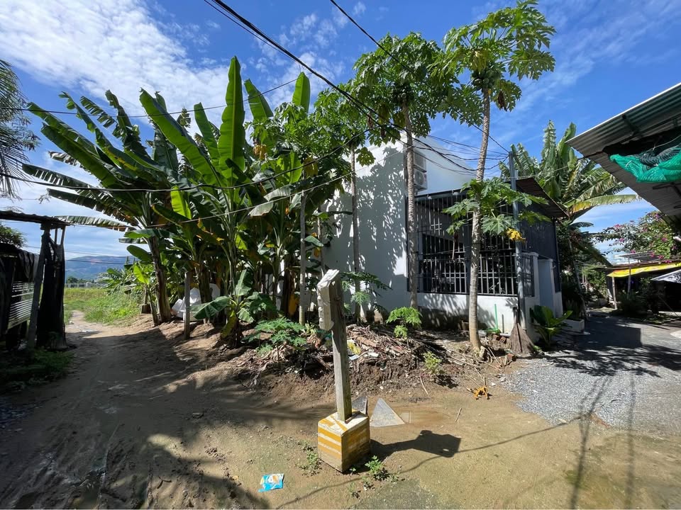 Bán đất hẻm ô tô đường Liên Hoa, Vĩnh Ngọc, Nha Trang - 61.5m² giá chỉ 1.5 tỷ!