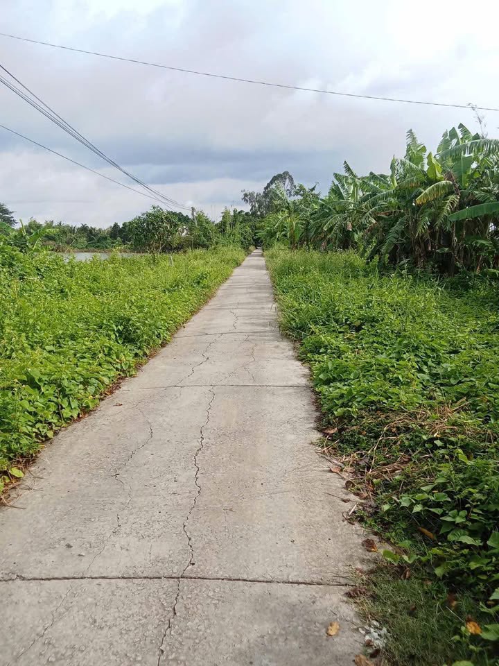 Đất nền mặt tiền Kinh 7, Thạnh Lộc 280m² - Tiềm năng tăng giá cao!