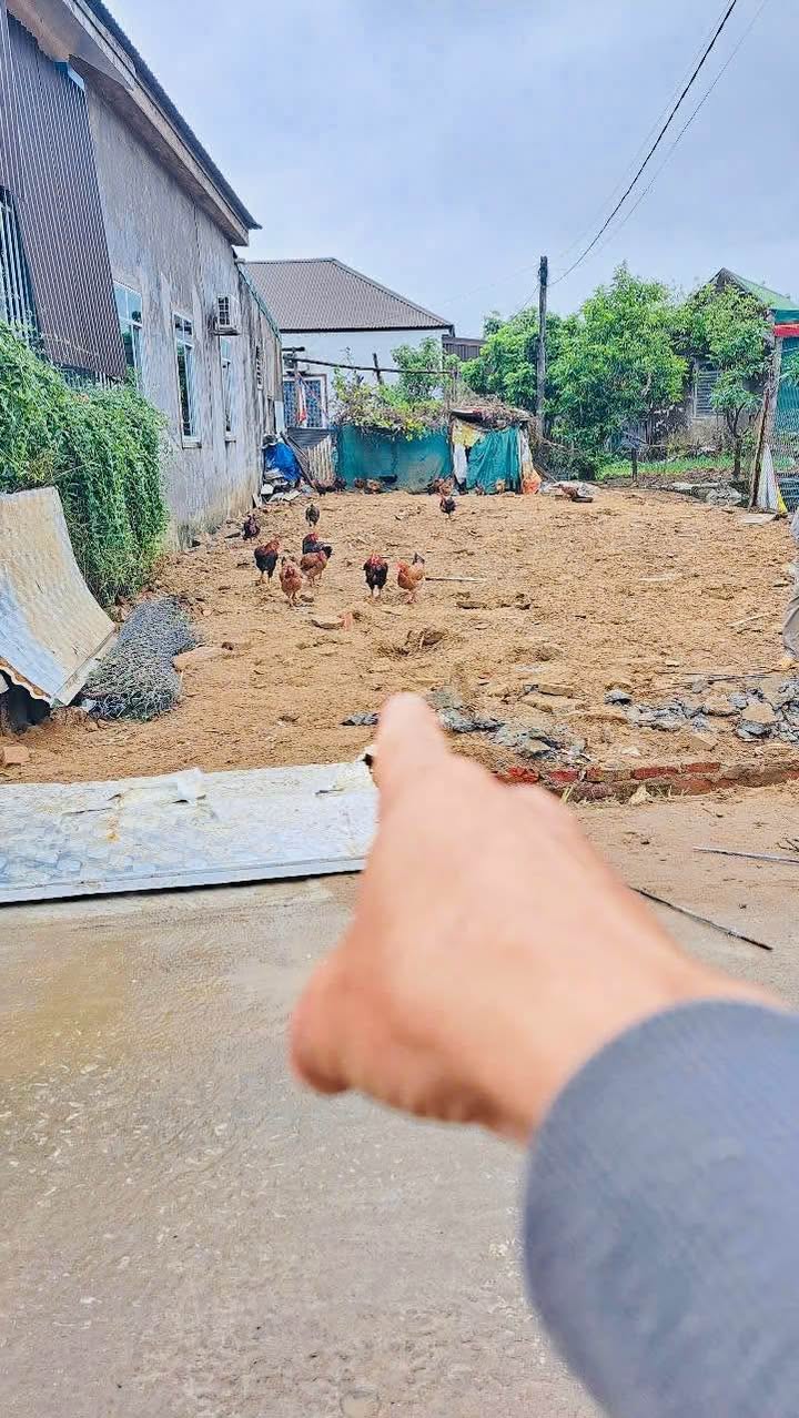 Đất mặt đường Hòa Thuận, Nghi Kim, 109m² - Đầu tư sinh lời ngay!